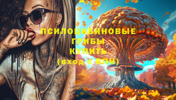 соль курить ск Алзамай